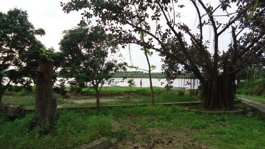 Từ Quán Trung Tân nhìn ra sông Hàn Tháp bút Kình Thiên Đồi nhân tạo phía sau 8