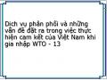 Dịch vụ phân phối và những vấn đề đặt ra trong việc thực hiện cam kết của Việt Nam khi gia nhập WTO - 13