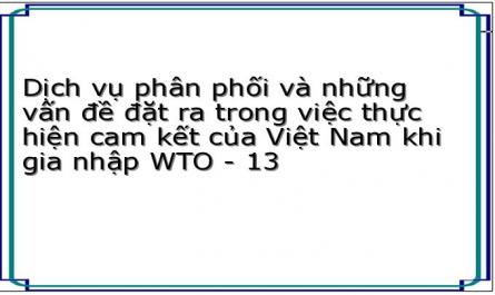 Dịch vụ phân phối và những vấn đề đặt ra trong việc thực hiện cam kết của Việt Nam khi gia nhập WTO - 13
