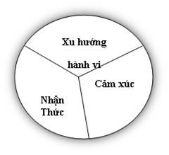 Hình 3 Mô hình ba thành phần của thái độ 5 5 Nguồn Kretch và 3
