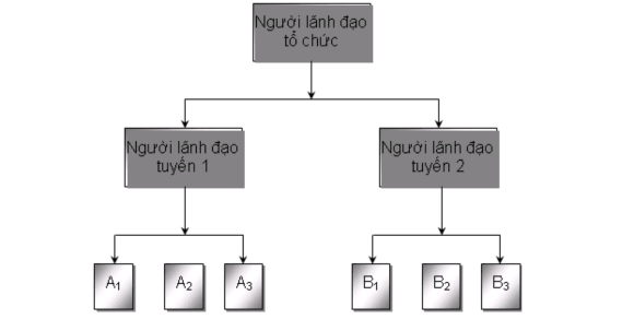 Cơ cấu tổ chức trực tuyến khá phổ biến ở cuối thế kỷ XIX và chủ yếu 1
