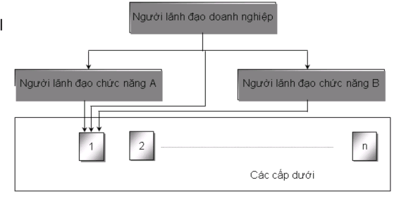 Trong cơ cấu chức năng những nhiệm vụ quản trị được phân chia cho các đơn 2