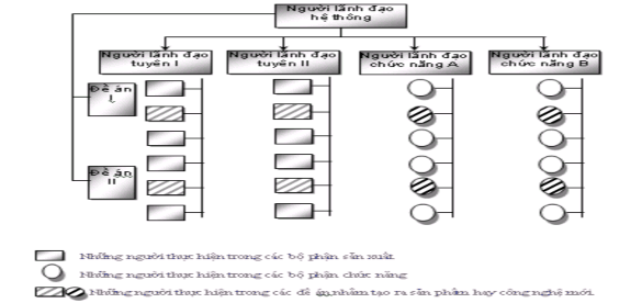 Đặc điểm của cơ cấu này là ngoài những người lãnh đạo theo tuyến và các 2