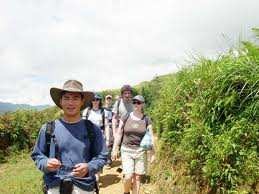  Tình hình chung của các công ty du lịch là ít tuyển hướng dẫn viên làm nhân 6