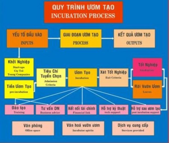 Ký làm việc với vườn ươm Hình 2 7 Quy trình ươm tạo trong ngành CNTT tại SBI 2