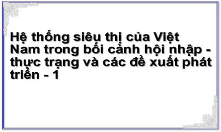 Hệ thống siêu thị của Việt Nam trong bối cảnh hội nhập - thực trạng và các đề xuất phát triển - 1
