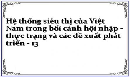 Hệ thống siêu thị của Việt Nam trong bối cảnh hội nhập - thực trạng và các đề xuất phát triển - 13
