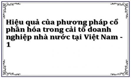 Hiệu quả của phương pháp cổ phần hóa trong cải tổ doanh nghiệp nhà nước tại Việt Nam - 1
