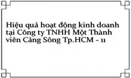Hiệu quả hoạt động kinh doanh tại Công ty TNHH Một Thành viên Cảng Sông Tp.HCM - 11