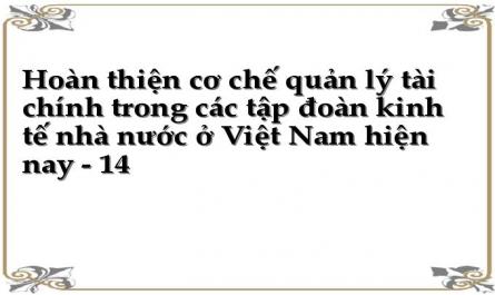Hoàn thiện cơ chế quản lý tài chính trong các tập đoàn kinh tế nhà nước ở Việt Nam hiện nay - 14