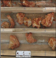 Kết quả phân tích mẫu khoáng vật sét do NCS thu thập trong trầm tích tướng 1