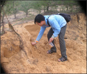 Ảnh 2 2 Khảo sát cát vàng hệ tầng Đà Nẵng tại xã Tam Quang huyện Núi 3