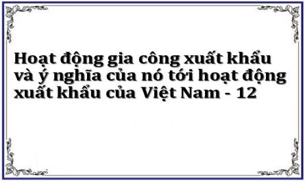 Hoạt động gia công xuất khẩu và ý nghĩa của nó tới hoạt động xuất khẩu của Việt Nam - 12