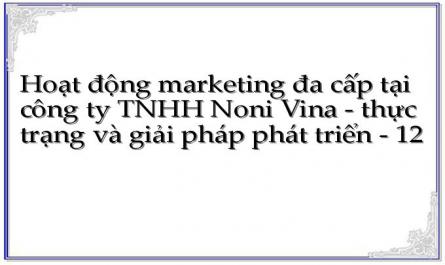 Hoạt động marketing đa cấp tại công ty TNHH Noni Vina - thực trạng và giải pháp phát triển - 12