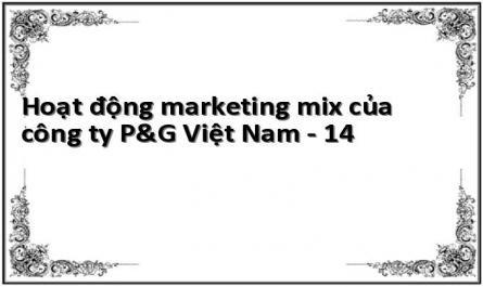 Hoạt động marketing mix của công ty P&G Việt Nam - 14