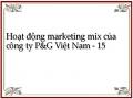 Hoạt động marketing mix của công ty P&G Việt Nam - 15