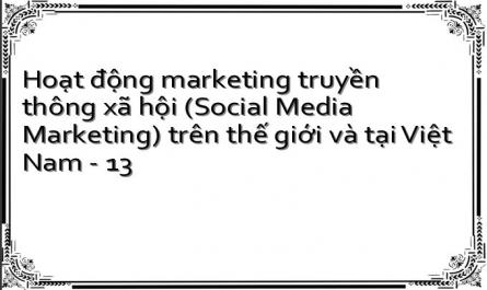 Hoạt động marketing truyền thông xã hội (Social Media Marketing) trên thế giới và tại Việt Nam - 13