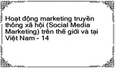 Hoạt động marketing truyền thông xã hội (Social Media Marketing) trên thế giới và tại Việt Nam - 14