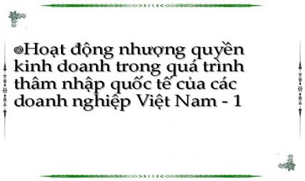 Hoạt động nhượng quyền kinh doanh trong quá trình thâm nhập quốc tế của các doanh nghiệp Việt Nam - 1