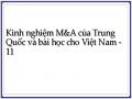 Một Số Vấn Đề Hạn Chế Về Hoạt Động M&a Tại Việt Nam.