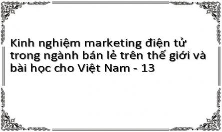 Kinh nghiệm marketing điện tử trong ngành bán lẻ trên thế giới và bài học cho Việt Nam - 13