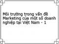 Môi trường trong vấn đề Marketing của một số doanh nghiệp tại Việt Nam - 1