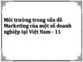 Khả Năng Đáp Ứng Yêu Cầu Về Môi Trường Của Việt Nam Còn Thấp