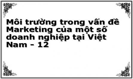 Môi trường trong vấn đề Marketing của một số doanh nghiệp tại Việt Nam - 12