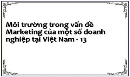 Môi trường trong vấn đề Marketing của một số doanh nghiệp tại Việt Nam - 13