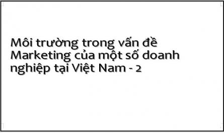 Môi trường trong vấn đề Marketing của một số doanh nghiệp tại Việt Nam - 2