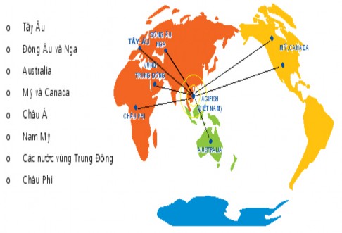 Nguồn Công ty cổ phần xuất nhập khẩu thủy sản An Giang Biểu đồ 1 Cơ cấu 2