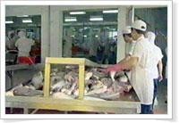 Đưa cá vào chế biến Chế biến cá philê Sản phẩm sau khi chế biến Nguồn 2