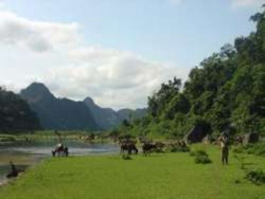 Một góc thung lũng Sinh Tồn Suối nước Moọc Vùng đệm Một số loài động 5