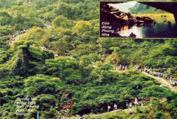 Suối nước Moọc Vùng đệm Một số loài động thực vật ở Phong Nha – Kẻ 6