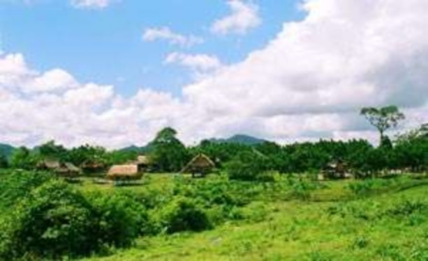 Vùng đệm Một số loài động thực vật ở Phong Nha – Kẻ Bàng Voọc Hà Tĩnh 8