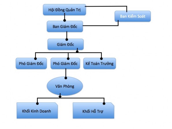 H ì nh 1 1 – M ô h ì nh t ổ ch ứ c c ủ a C ô ng ty 2 1 3 3 Ch ứ c năng nhi ệ m v 1