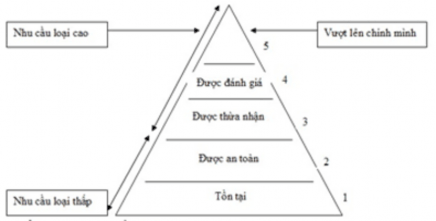 Theo như nghiên cứu của người viết nhu cầu của người lao động ở các khu 1
