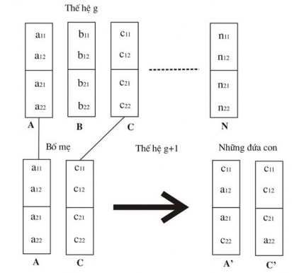 Hình 2 12 Minh họa cơ cấu thuật toán di truyền 33 Năm 1999 Haidar đã đưa ra 3