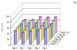 Hình 3 7 Kết quả phân tích các thông số sinh lý mủ theo cấp độ KMC của 11