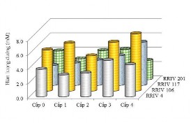 Tổng hàm lượng chất khô TSC của bốn dvt đều có xu hướng tăng dần 12