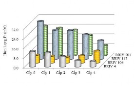 Tổng hàm lượng chất khô TSC của bốn dvt đều có xu hướng tăng dần 13