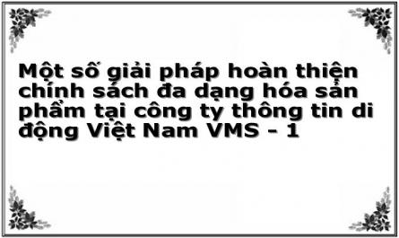 Một số giải pháp hoàn thiện chính sách đa dạng hóa sản phẩm tại công ty thông tin di động Việt Nam VMS - 1