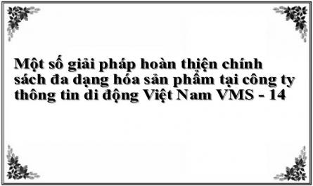 Một số giải pháp hoàn thiện chính sách đa dạng hóa sản phẩm tại công ty thông tin di động Việt Nam VMS - 14