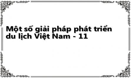 Một số giải pháp phát triển du lịch Việt Nam - 11