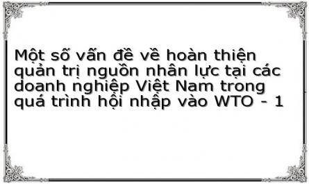 Một số vấn đề về hoàn thiện quản trị nguồn nhân lực tại các doanh nghiệp Việt Nam trong quá trình hội nhập vào WTO - 1
