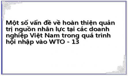 Một số vấn đề về hoàn thiện quản trị nguồn nhân lực tại các doanh nghiệp Việt Nam trong quá trình hội nhập vào WTO - 13