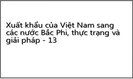 Xuất khẩu của Việt Nam sang các nước Bắc Phi, thực trạng và giải pháp - 13