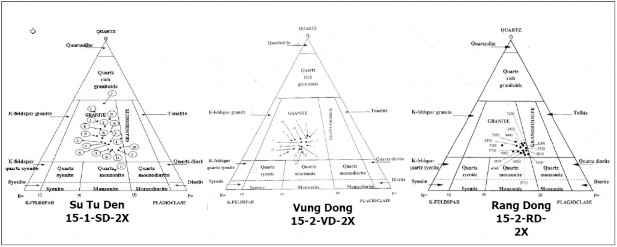 Hình 1 13 Biểu đồ phân loại thạch học cho các mẫu đá móng theo giếng khoan 3