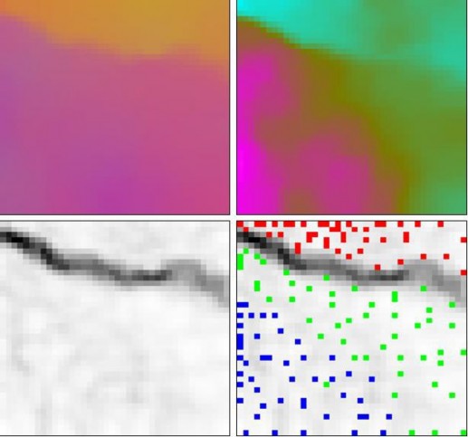 Các biến Hình Các mạng SOM thể hiện phân bố các dữ liệu tập IRIS Các 1