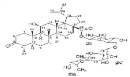Vòng Benzopyrano Của Hợp Chất Flavonoid [31]